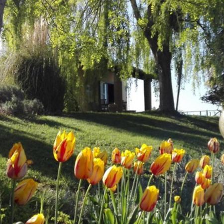 Agriturismo QuartoPodere Magliano in Toscana Exterior foto