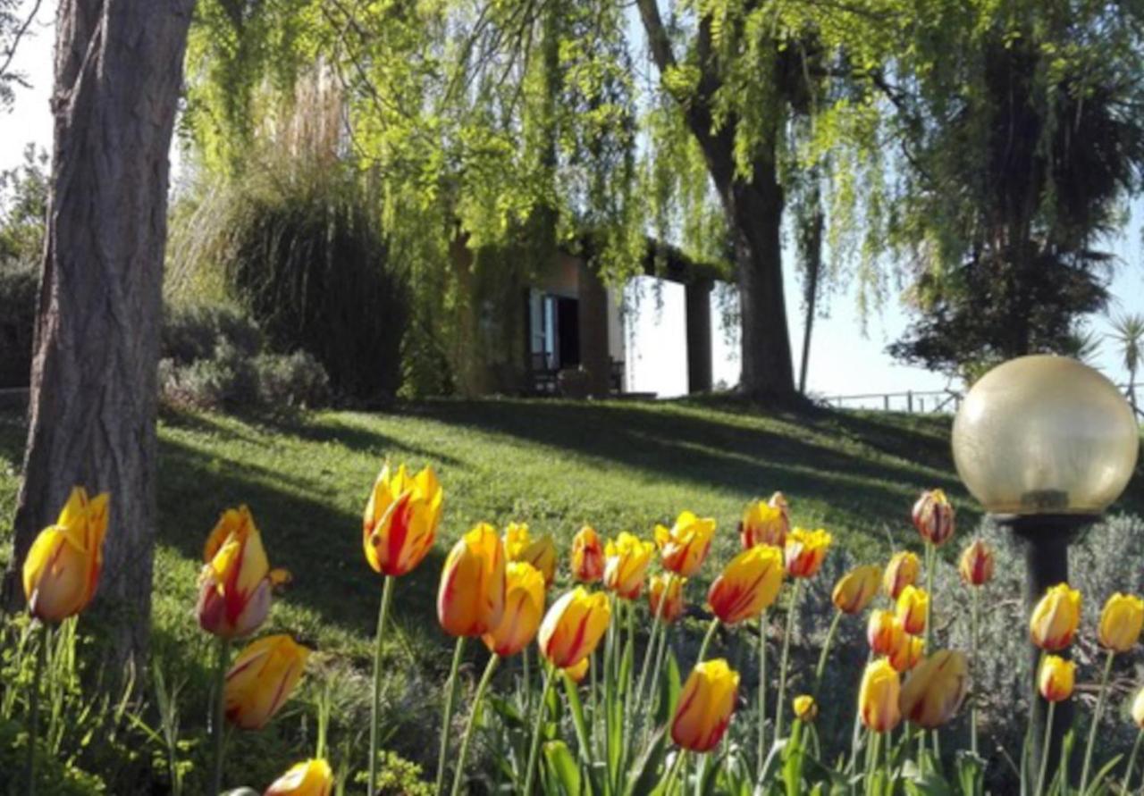 Agriturismo QuartoPodere Magliano in Toscana Exterior foto