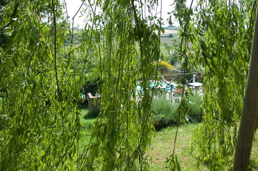 Agriturismo QuartoPodere Magliano in Toscana Exterior foto