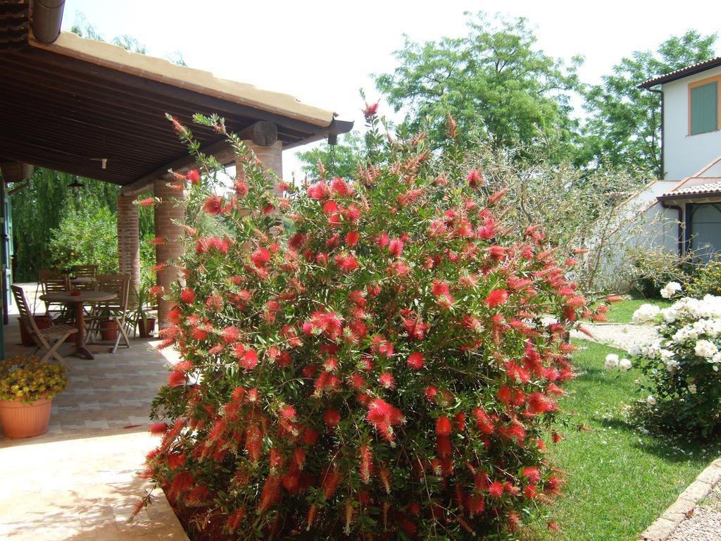 Agriturismo QuartoPodere Magliano in Toscana Exterior foto